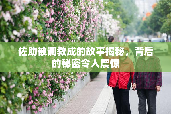 佐助被调教成的故事揭秘，背后的秘密令人震惊