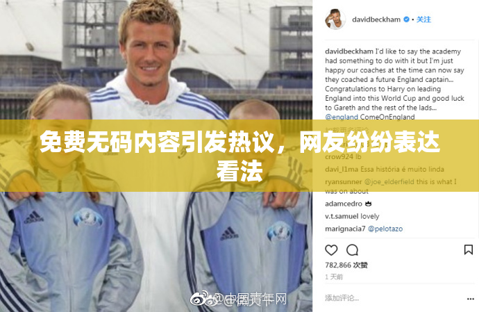 免费无码内容引发热议，网友纷纷表达看法