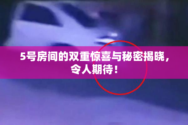 5号房间的双重惊喜与秘密揭晓，令人期待！