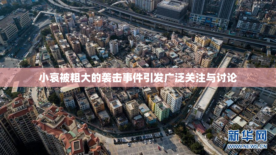 小哀被粗大的袭击事件引发广泛关注与讨论
