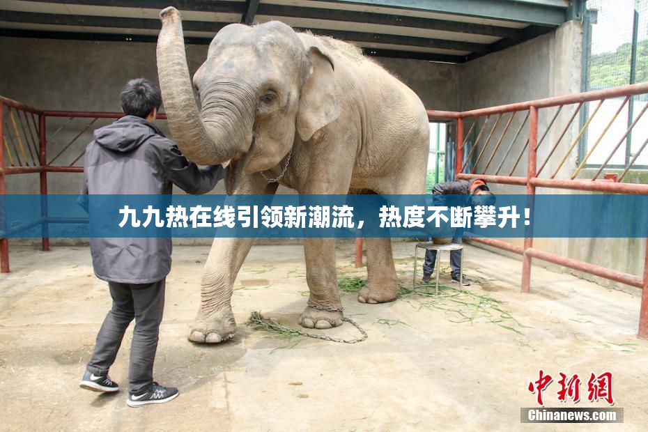 九九热在线引领新潮流，热度不断攀升！