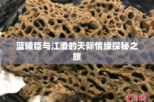 蓝曦臣与江澄的天际情缘探秘之旅