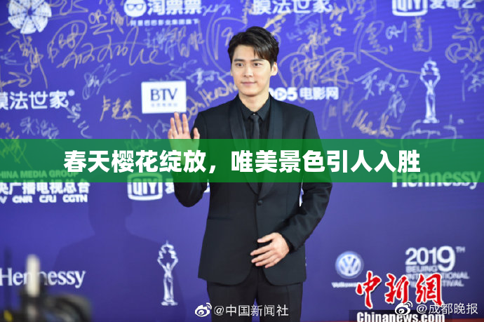 春天樱花绽放，唯美景色引人入胜