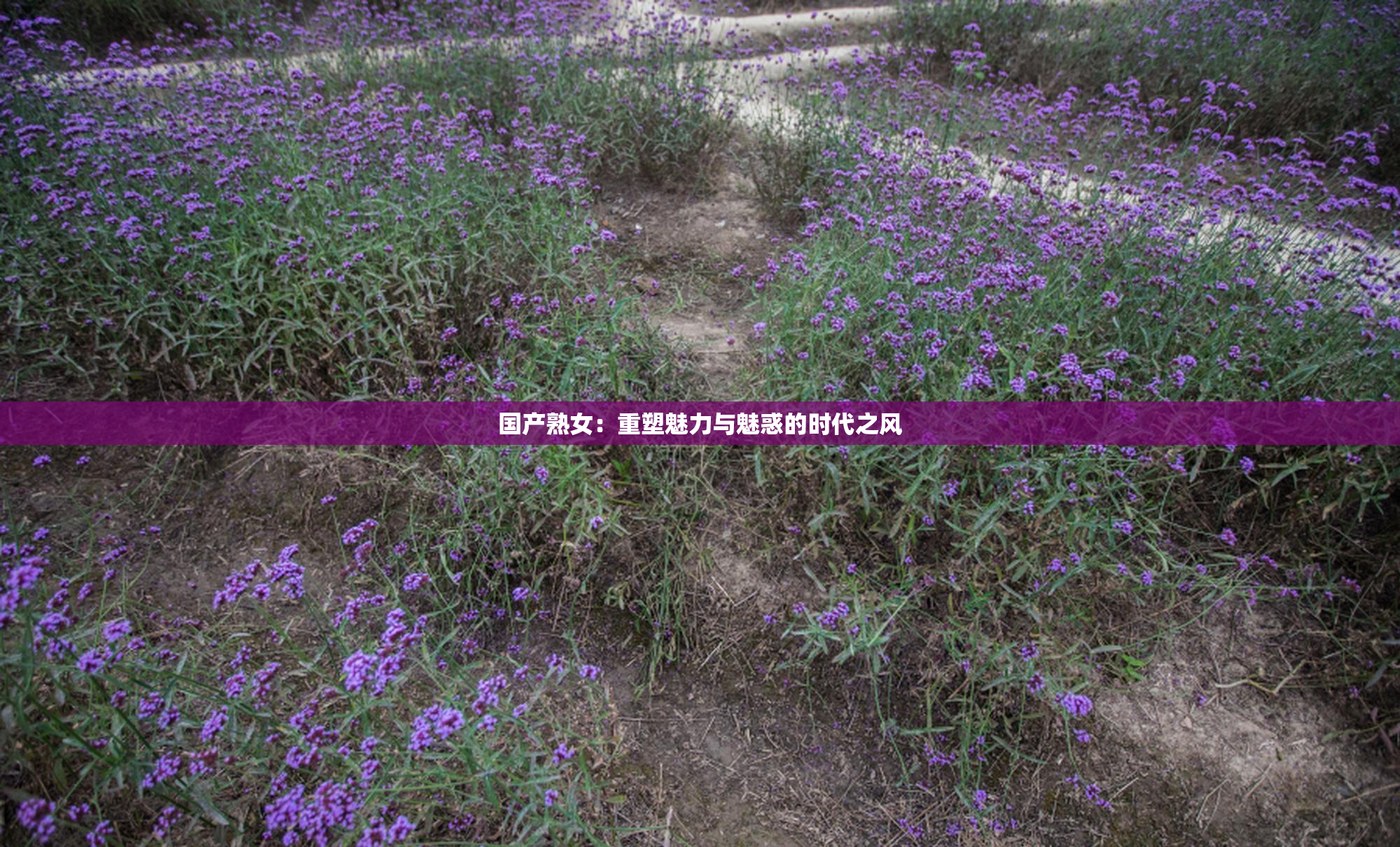 国产熟女：重塑魅力与魅惑的时代之风