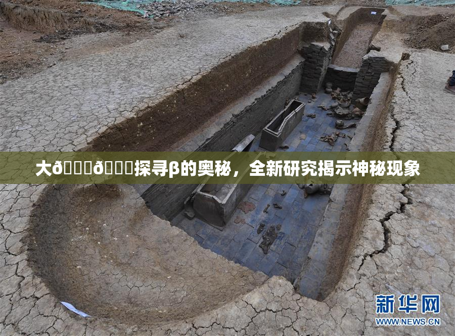 大🐔🐔探寻β的奥秘，全新研究揭示神秘现象