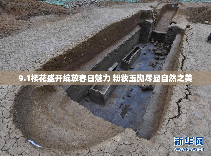 9.1樱花盛开绽放春日魅力 粉妆玉砌尽显自然之美
