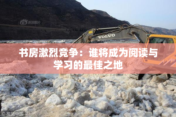 书房激烈竞争：谁将成为阅读与学习的最佳之地