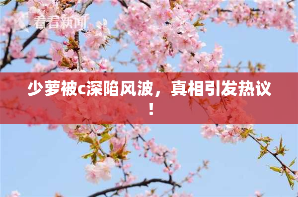 少萝被c深陷风波，真相引发热议！