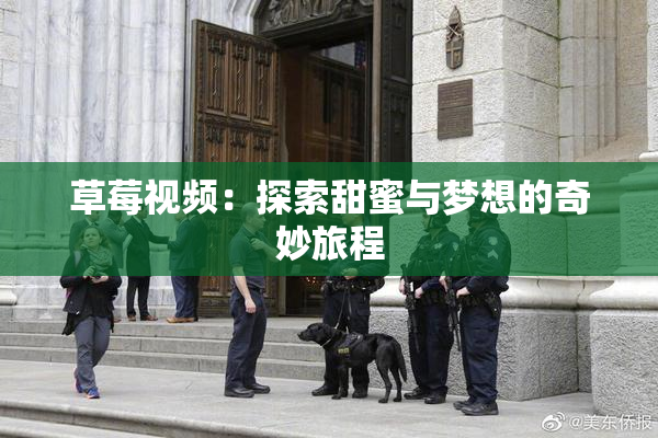 草莓视频：探索甜蜜与梦想的奇妙旅程