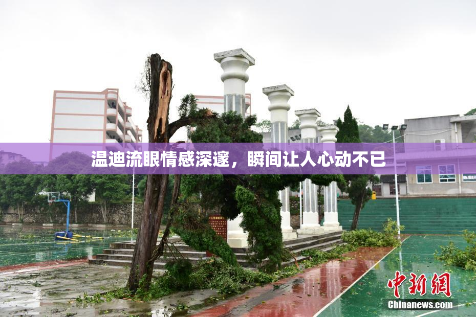 温迪流眼情感深邃，瞬间让人心动不已