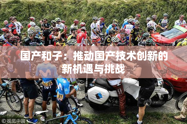 国产和子：推动国产技术创新的新机遇与挑战