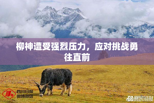 柳神遭受强烈压力，应对挑战勇往直前