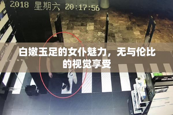 白嫩玉足的女仆魅力，无与伦比的视觉享受