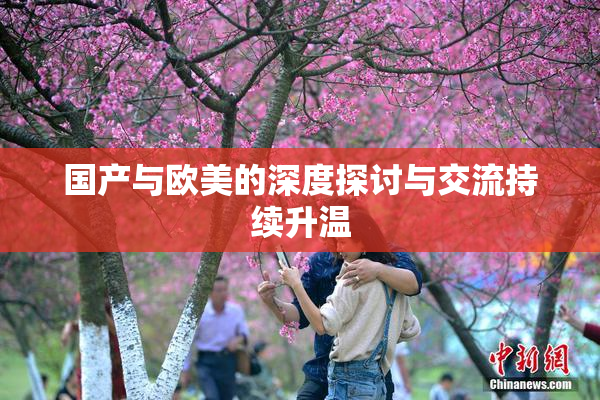 国产与欧美的深度探讨与交流持续升温