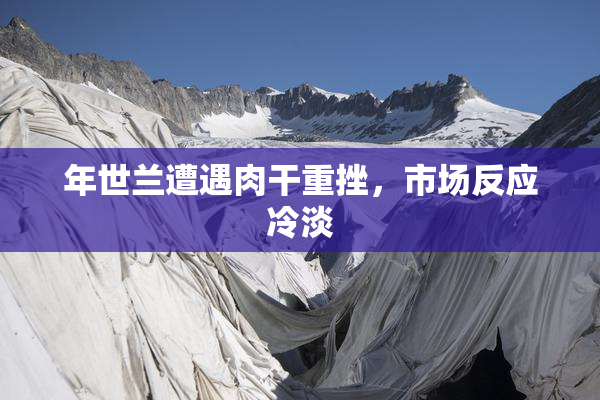 年世兰遭遇肉干重挫，市场反应冷淡