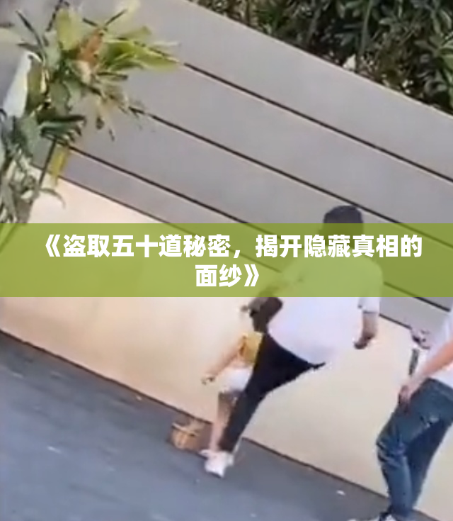 《盗取五十道秘密，揭开隐藏真相的面纱》