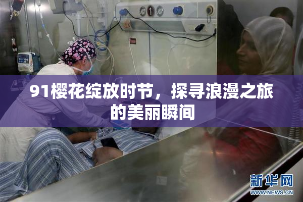 91樱花绽放时节，探寻浪漫之旅的美丽瞬间