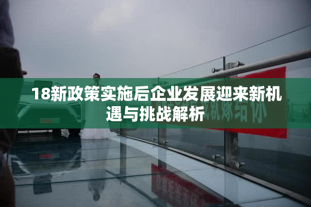 18新政策实施后企业发展迎来新机遇与挑战解析