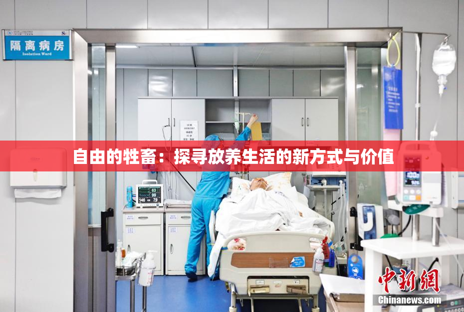 自由的牲畜：探寻放养生活的新方式与价值