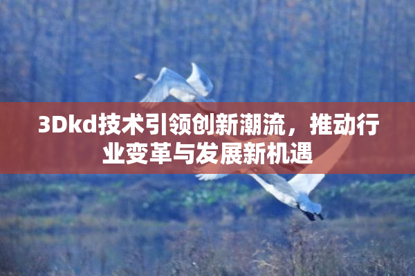 3Dkd技术引领创新潮流，推动行业变革与发展新机遇