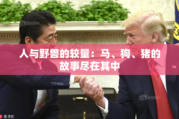 人与野兽的较量：马、狗、猪的故事尽在其中