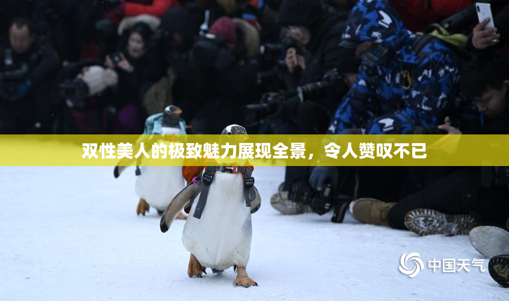 双性美人的极致魅力展现全景，令人赞叹不已