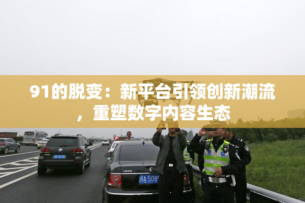 91的脱变：新平台引领创新潮流，重塑数字内容生态