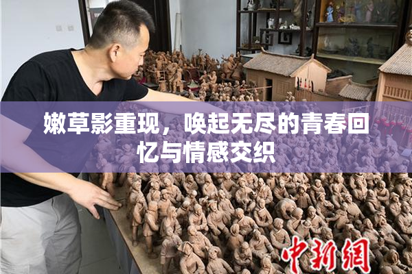 嫩草影重现，唤起无尽的青春回忆与情感交织