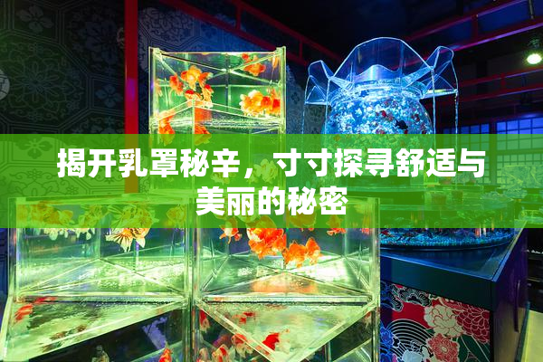 揭开乳罩秘辛，寸寸探寻舒适与美丽的秘密