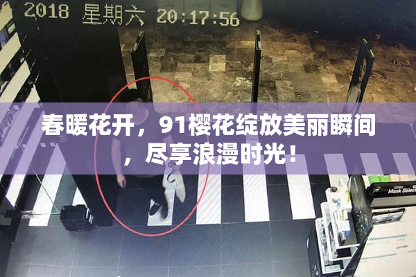 春暖花开，91樱花绽放美丽瞬间，尽享浪漫时光！