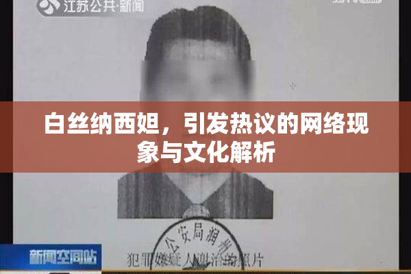 白丝纳西妲，引发热议的网络现象与文化解析