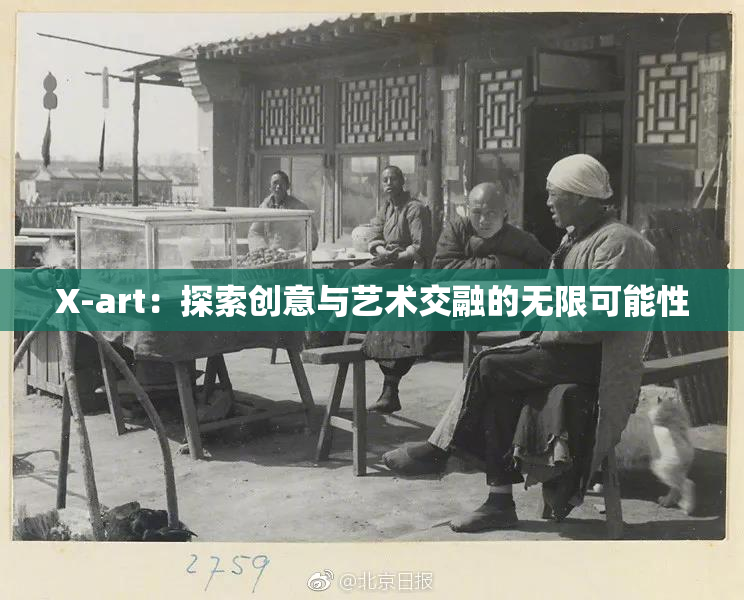 X-art：探索创意与艺术交融的无限可能性