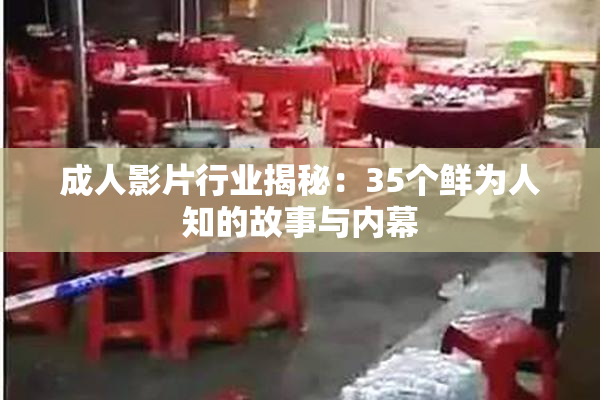 成人影片行业揭秘：35个鲜为人知的故事与内幕