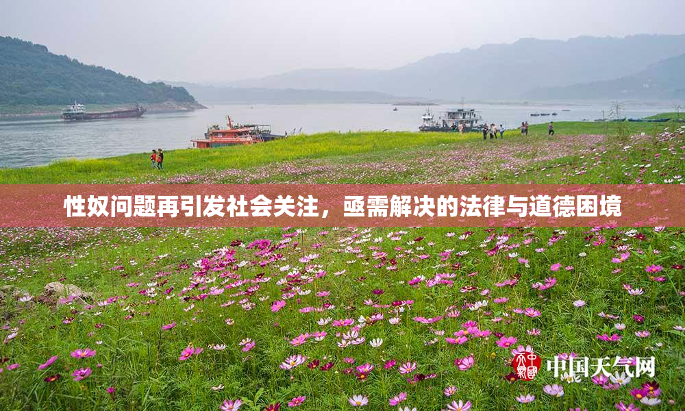 性奴问题再引发社会关注，亟需解决的法律与道德困境