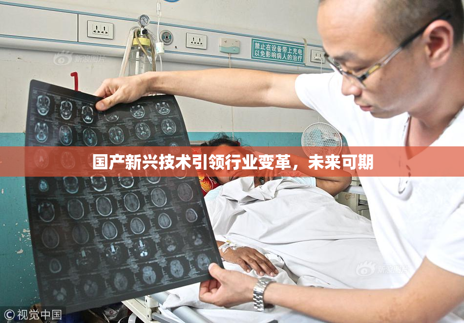 国产新兴技术引领行业变革，未来可期