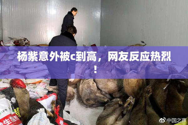 杨紫意外被c到高，网友反应热烈！