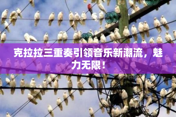 克拉拉三重奏引领音乐新潮流，魅力无限！