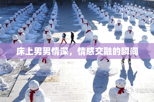 床上男男情深，情感交融的瞬间
