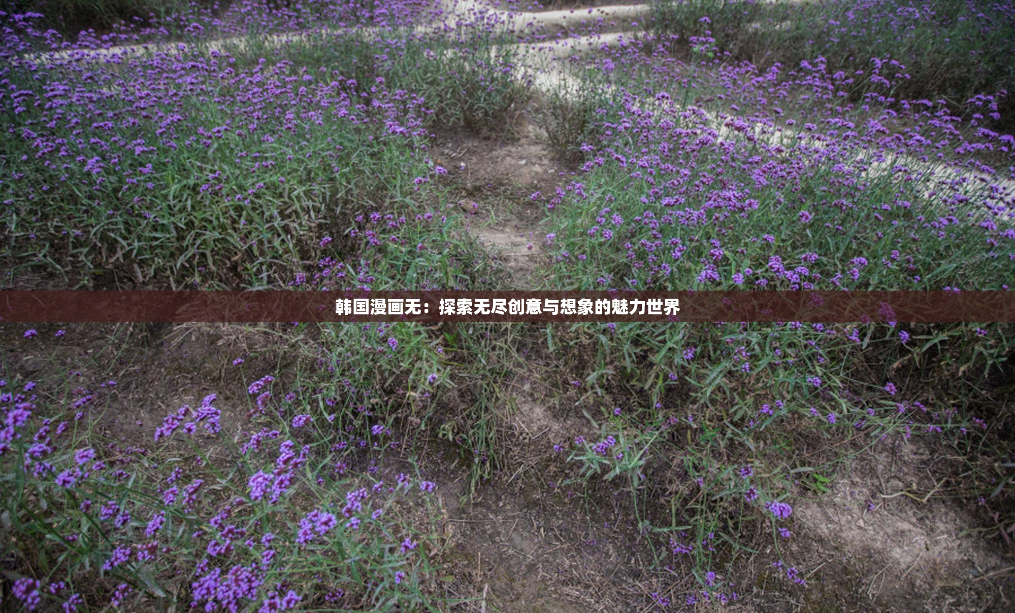 韩国漫画无：探索无尽创意与想象的魅力世界
