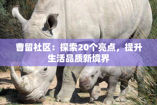 曹留社区：探索20个亮点，提升生活品质新境界