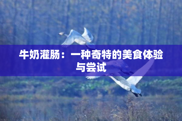 牛奶灌肠：一种奇特的美食体验与尝试