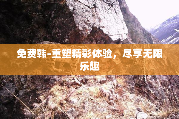 免费韩-重塑精彩体验，尽享无限乐趣