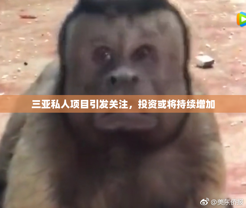三亚私人项目引发关注，投资或将持续增加