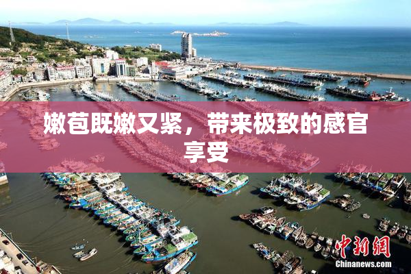 嫩苞既嫩又紧，带来极致的感官享受