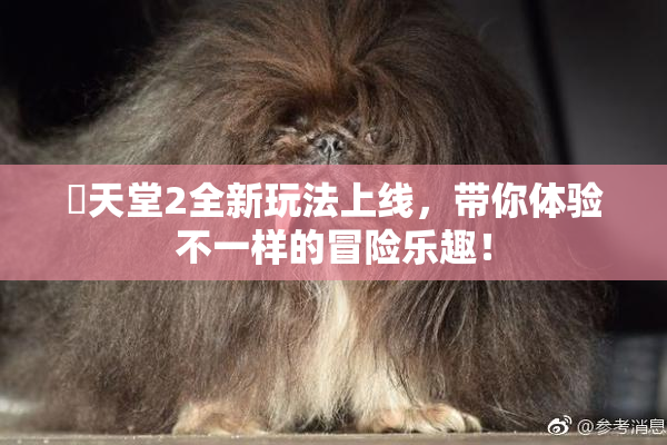 妺天堂2全新玩法上线，带你体验不一样的冒险乐趣！