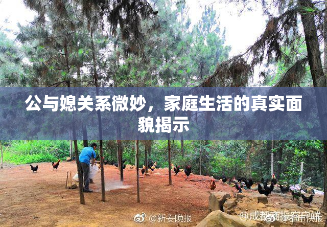 公与媳关系微妙，家庭生活的真实面貌揭示