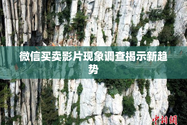 微信买卖影片现象调查揭示新趋势