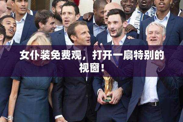 女仆装免费观，打开一扇特别的视窗！