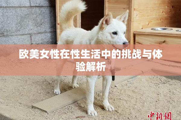 欧美女性在性生活中的挑战与体验解析