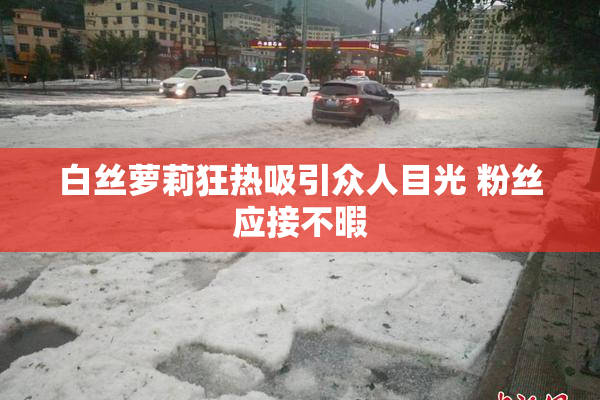 白丝萝莉狂热吸引众人目光 粉丝应接不暇